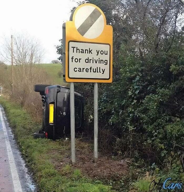 50 Hilarious New Pics In The “Give Me A Sign” Facebook Group’s Collection