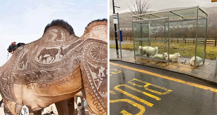 38 Imágenes «bastante interesantes» que te sorprenderán (nuevas fotos)
