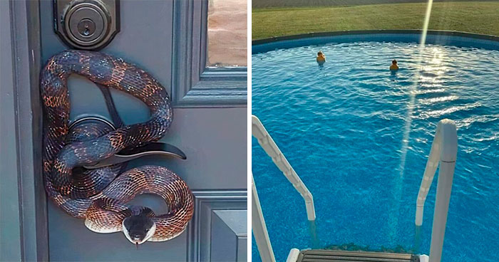 43 Imágenes inquietantes que te dejarán una sensación incómoda