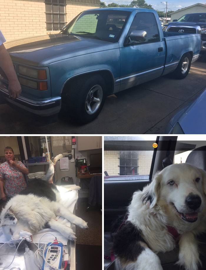 He vendido mi camioneta para pagar su operación