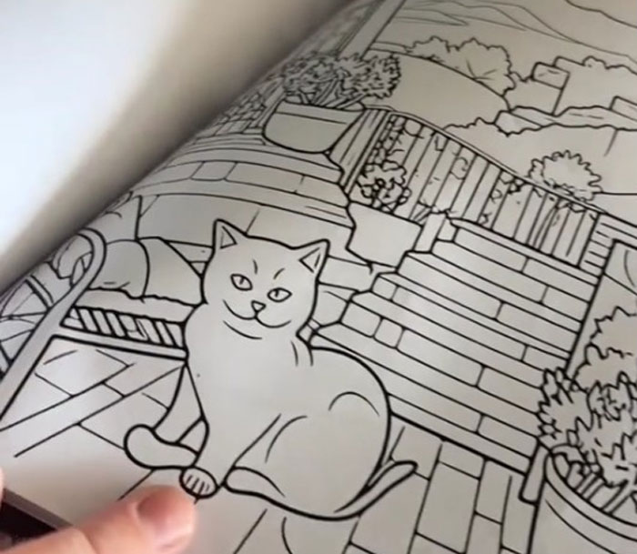 Esta mujer creía haberse comprado un libro normal de colorear gatitos, pero empieza a ver demasiadas cosas raras