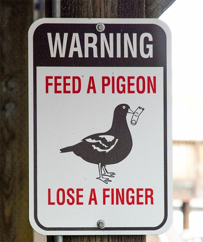 50 Chaotic Signs People Shared To This Facebook Group That You Can’t Help But Laugh At