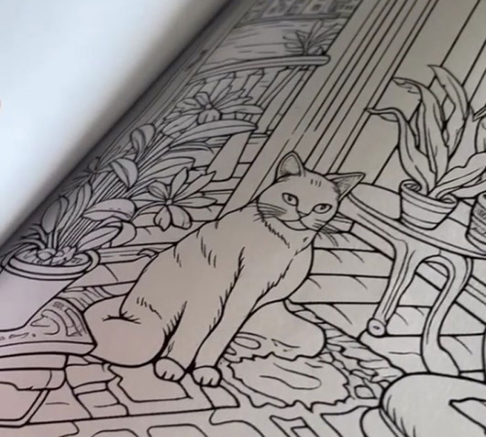 Esta mujer creía haberse comprado un libro normal de colorear gatitos, pero empieza a ver demasiadas cosas raras