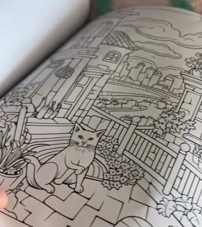 Esta mujer creía haberse comprado un libro normal de colorear gatitos, pero empieza a ver demasiadas cosas raras