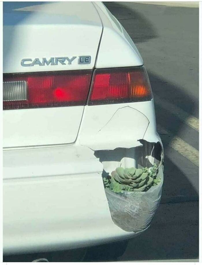 Lo que sea menos arreglar el coche