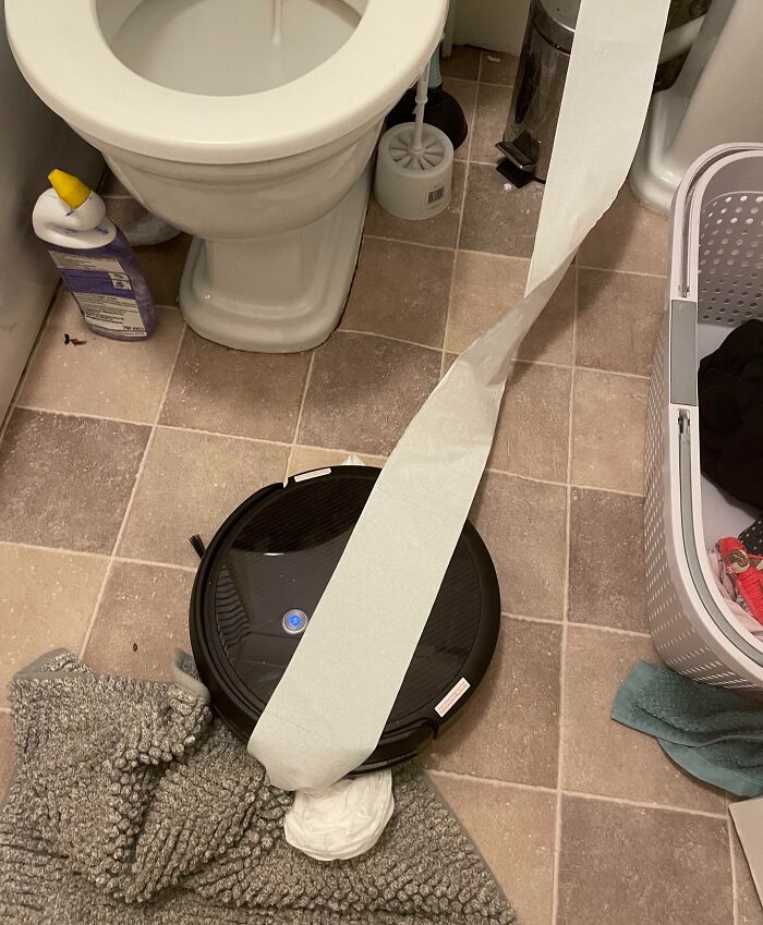 Acaba de aspirar medio rollo de papel higiénico