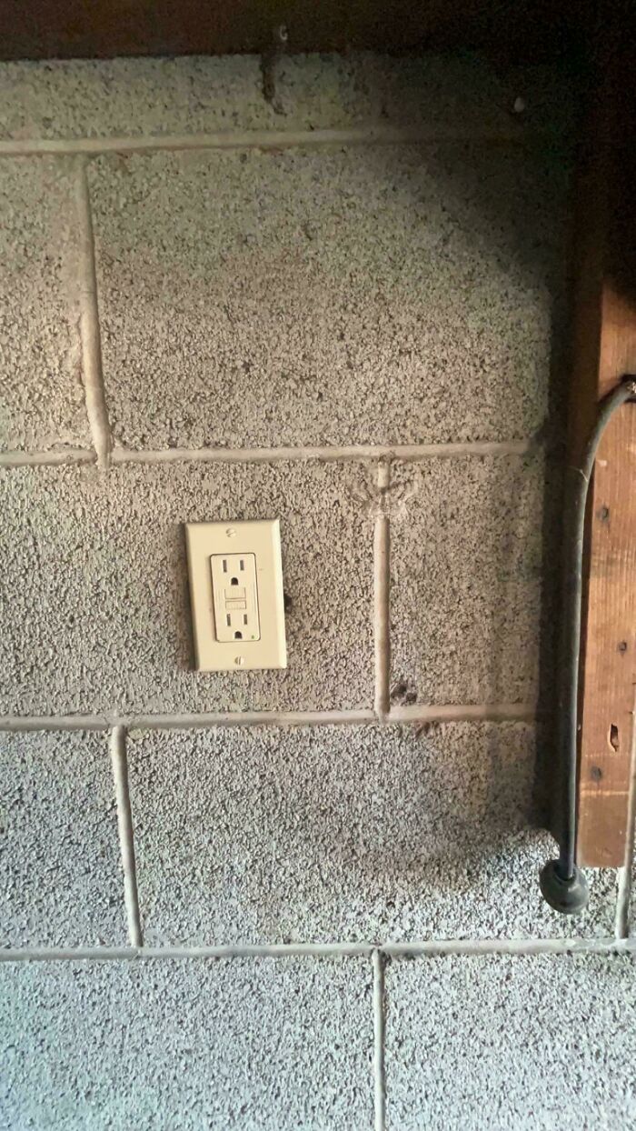 Encontrad a la polilla