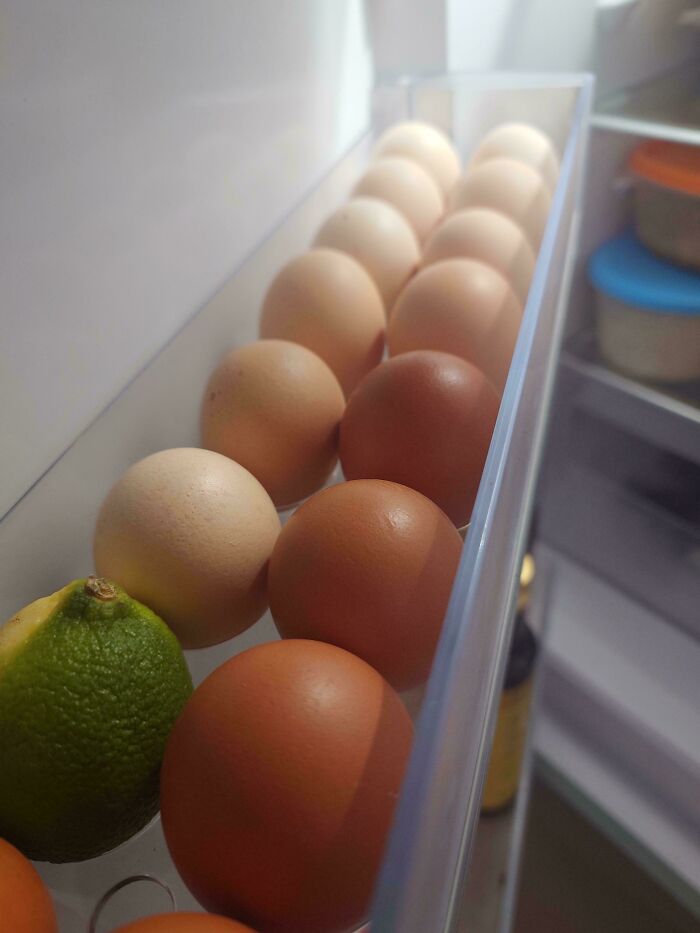 El gradiente de color de los huevos de mi frigorífico