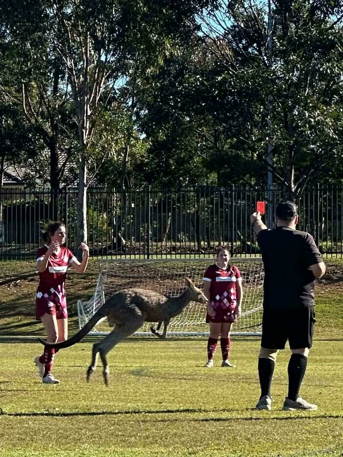 Jugando al fútbol en Port Macquarie