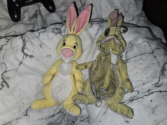 Mi madre me ha comprado otra copia del peluche que tenía en mi niñez