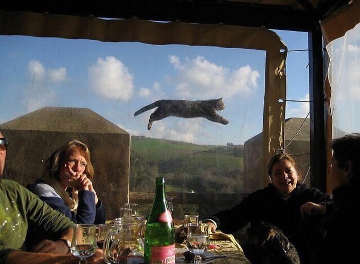 This Instagram Account Shares Highly Amusing Street Photos; Here Are Their 50 Newest Ones