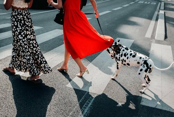 This Instagram Account Shares Highly Amusing Street Photos; Here Are Their 50 Newest Ones