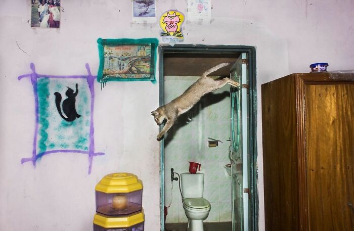 This Instagram Account Shares Highly Amusing Street Photos; Here Are Their 50 Newest Ones