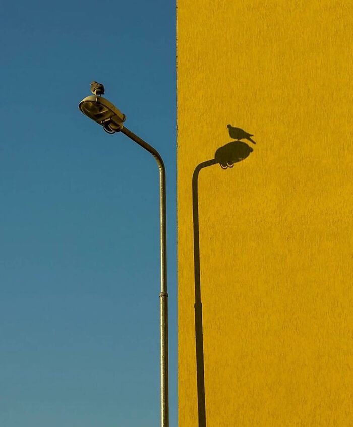 This Instagram Account Shares Highly Amusing Street Photos; Here Are Their 50 Newest Ones