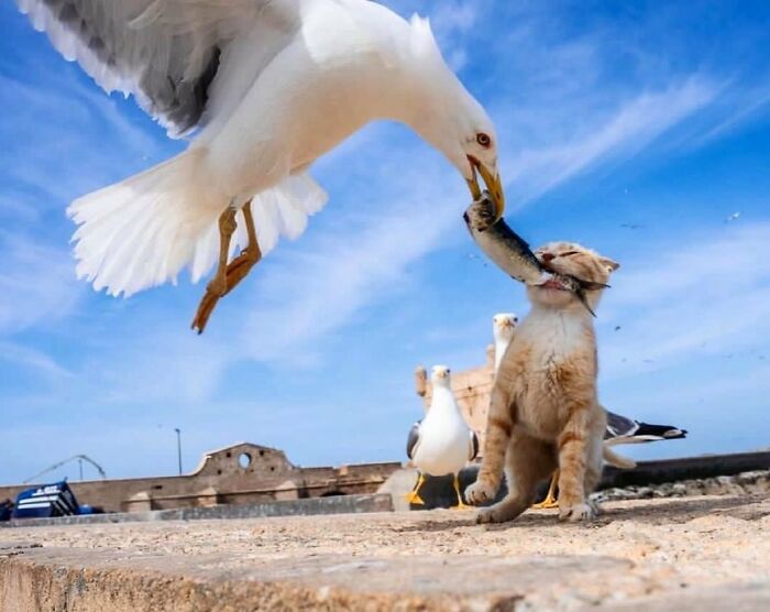 This Instagram Account Shares Highly Amusing Street Photos; Here Are Their 50 Newest Ones