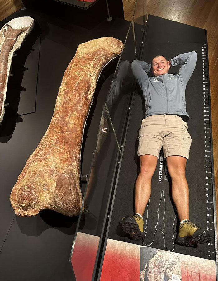 Un humano junto al fémur del saurópodo Patagotitan Mayorum. Es uno de los dinosaurios más grandes de la historia