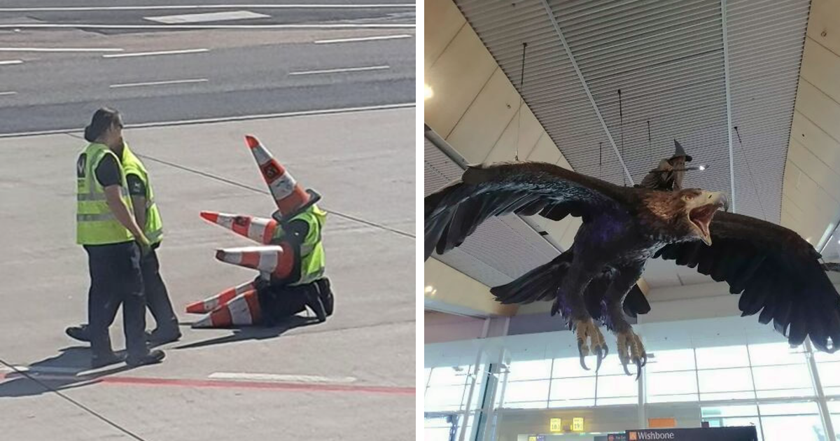 33 Fotos divertidas, enternecedoras y francamente extrañas tomadas en aeropuertos (nuevas imágenes)