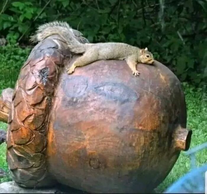Soñaba con este día