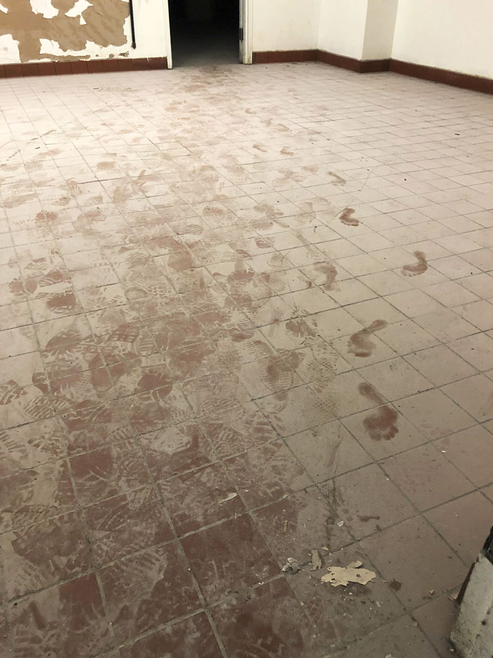 Al parecer hubo un visitante mientras trabajaba yo solo en un sótano abandonado