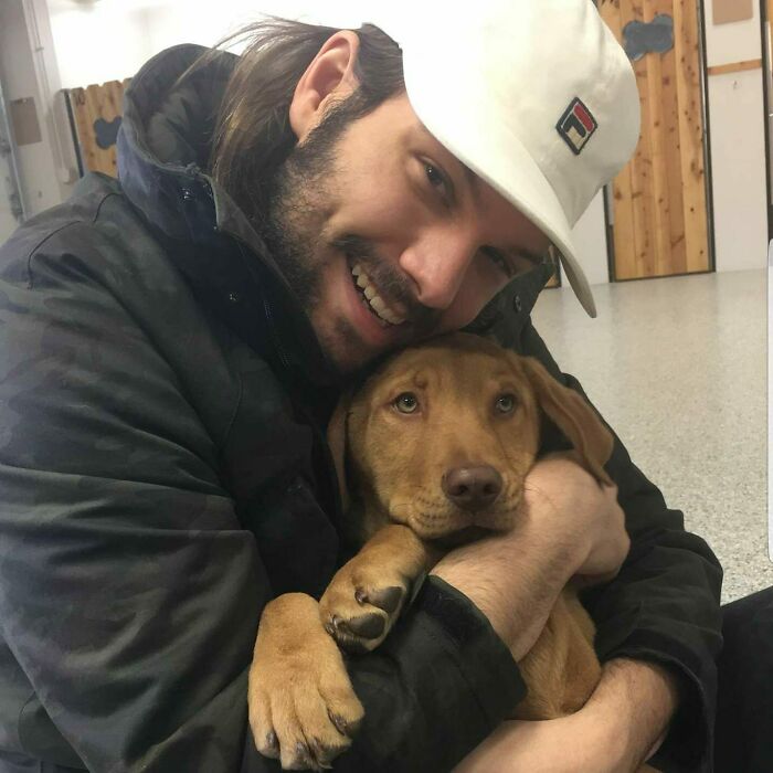 Cuando nos conocimos, se subió a mi regazo y me enamoré. Ahora es mi primer perro y mi mejor amigo para toda la vida. ¡Conoce a Winston!