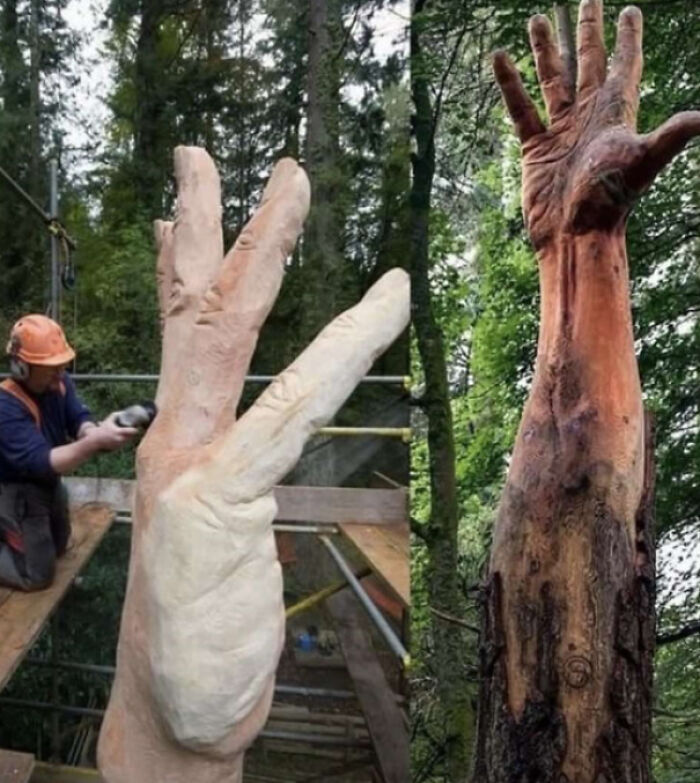El árbol más alto de Gales fue dañado por un rayo y, en lugar de cortarlo, un artista de la motosierra hizo esto como símbolo del último intento del árbol por alcanzar el cielo.