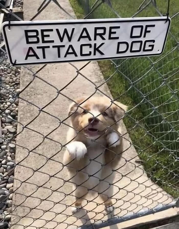 50 Of The Funniest And Most Baffling Signs That People Found In The Wild
