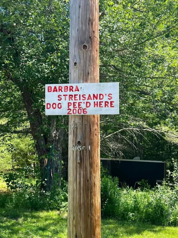 50 Of The Funniest And Most Baffling Signs That People Found In The Wild