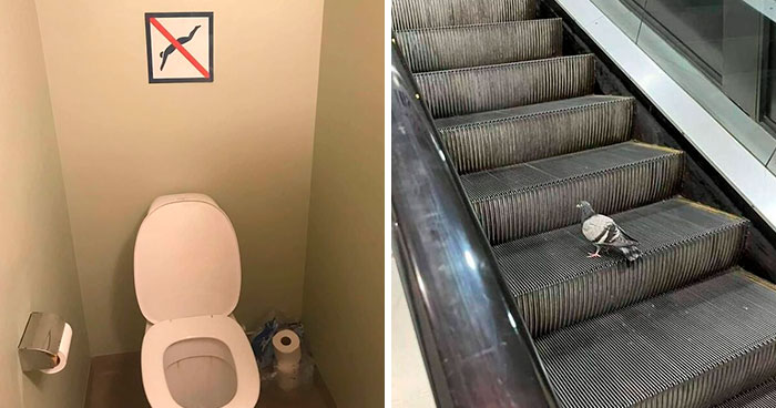 65 Imágenes sacadas del lado cómico y extravagante de Internet