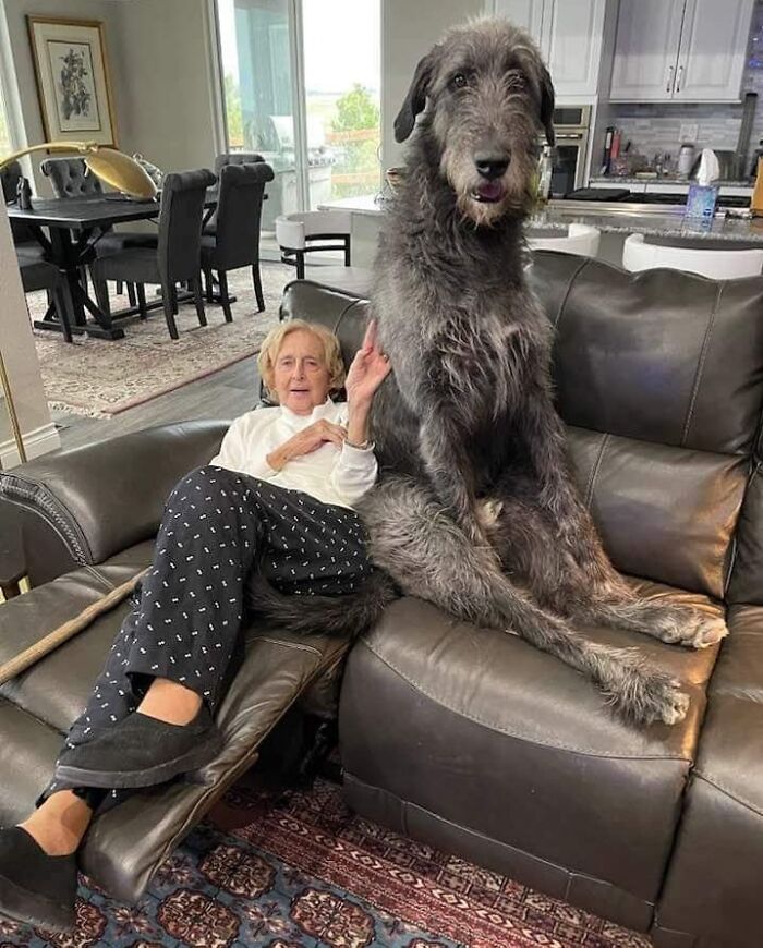 Señora junto a su perrazo