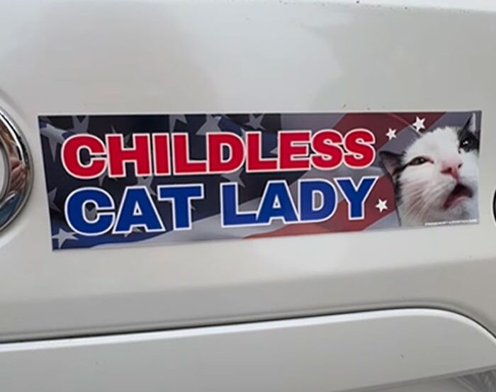Señora sin hijos con gato