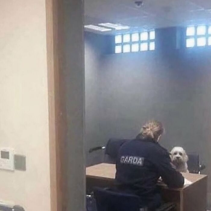 50 Of The Most Cursed Images For People Who Have A Higher Tolerance For Bizarreness (New Pics)