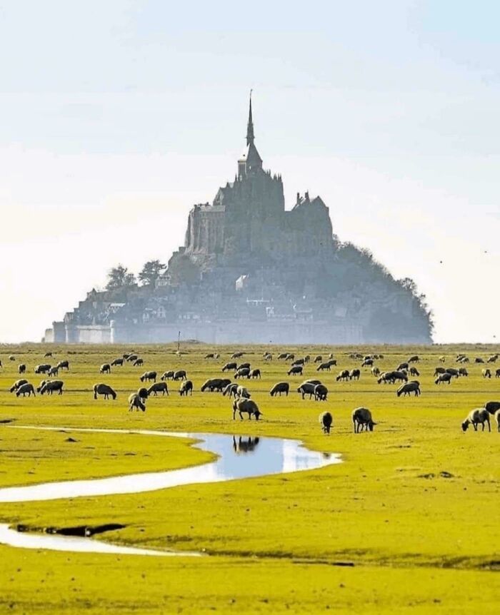 Impresionante paisaje con animales pastando y construcción extremadamente grande y aterradora al fondo en un entorno natural.