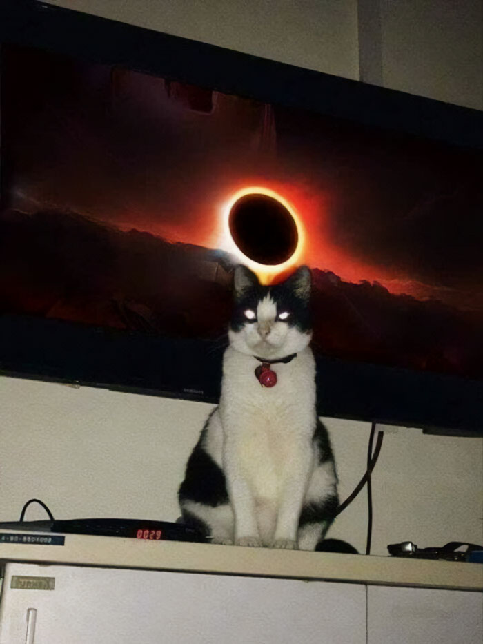 “Pics That Actually Go Hard”: 50 Of The Most Unhinged Posts