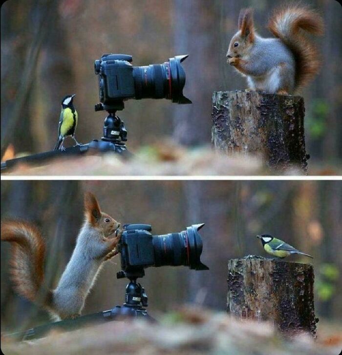 Estos 2 momentos capturados por el fotógrafo ruso Vadim Trunov pueden ser las fotos más tiernas de todos los tiempos