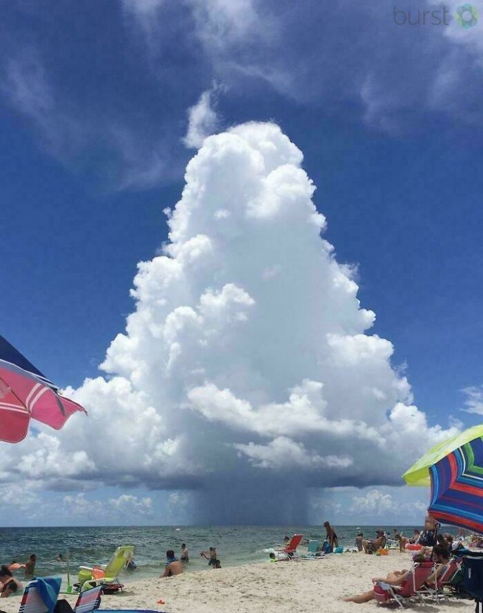 Nube gigante en forma de árbol sobre la playa con personas mostrando lo impactante de las cosas extremadamente grandes.