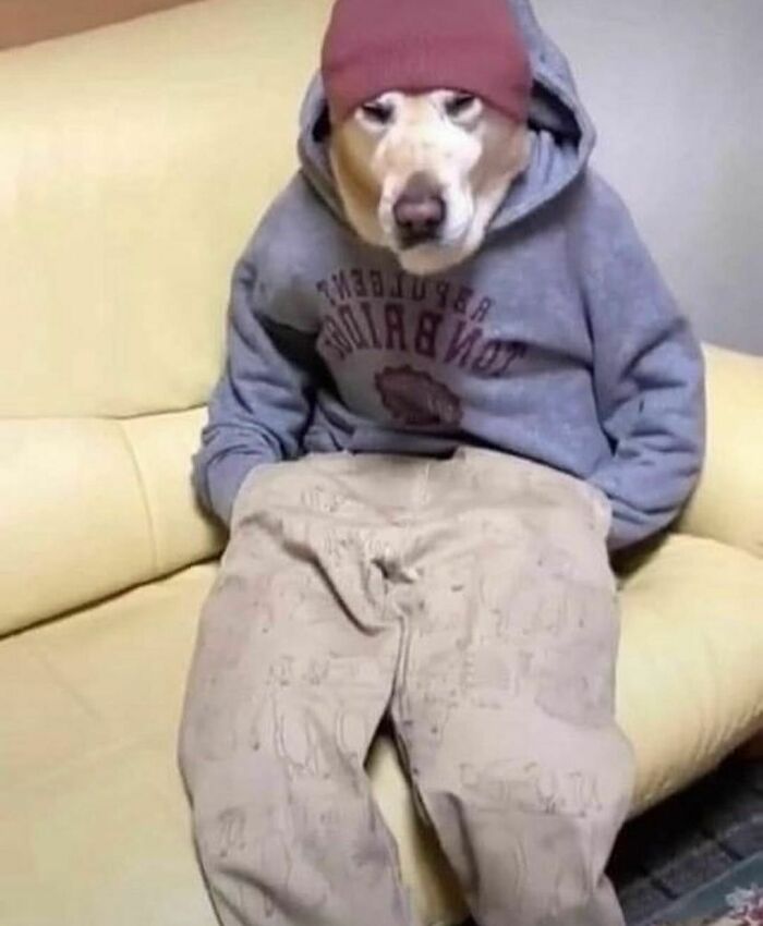 50 Of The Most Cursed Images For People Who Have A Higher Tolerance For Bizarreness (New Pics)