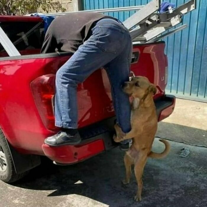 50 Of The Most Cursed Images For People Who Have A Higher Tolerance For Bizarreness (New Pics)