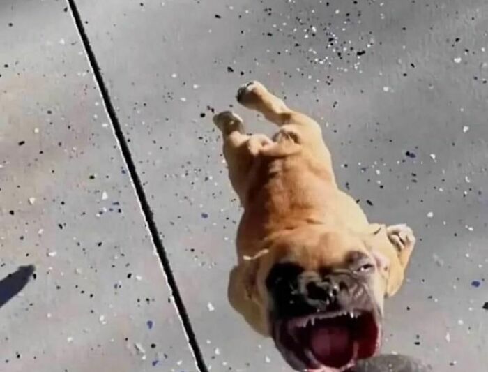 50 Of The Most Cursed Images For People Who Have A Higher Tolerance For Bizarreness (New Pics)
