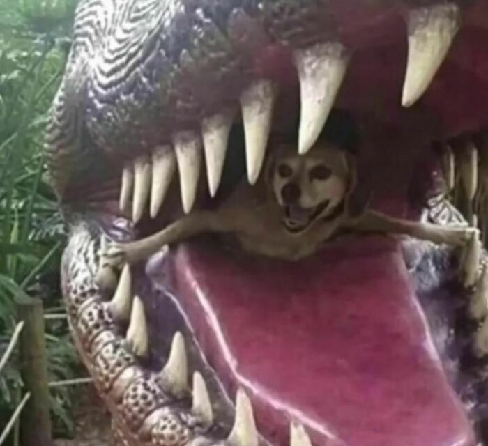 50 Of The Most Cursed Images For People Who Have A Higher Tolerance For Bizarreness (New Pics)