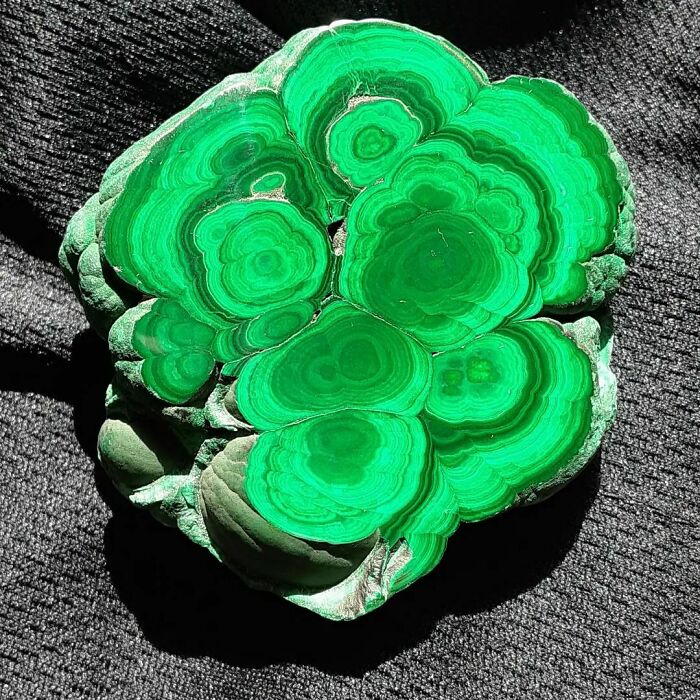 Sección transversal de nódulos de malaquita procedentes de China. Los patrones de crecimiento casi perfectos se asemejan a los anillos de un tronco de árbol.