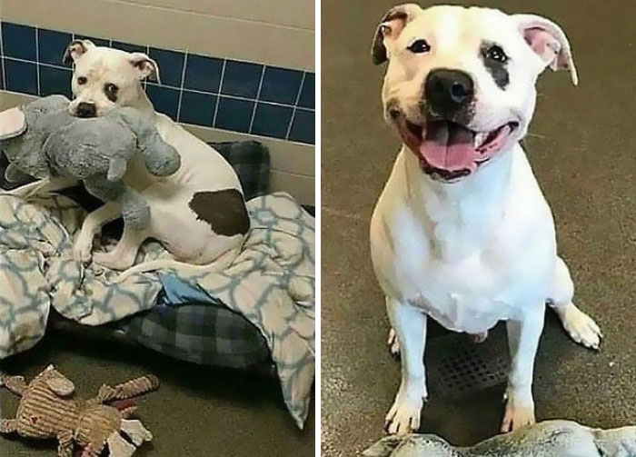 50 Heartwarming Stories To Restore Your Faith In Humanity