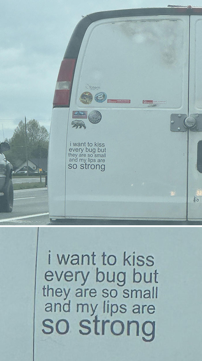 Quiero besar a todos los bichos, pero son tan pequeños y mis labios tan fuertes