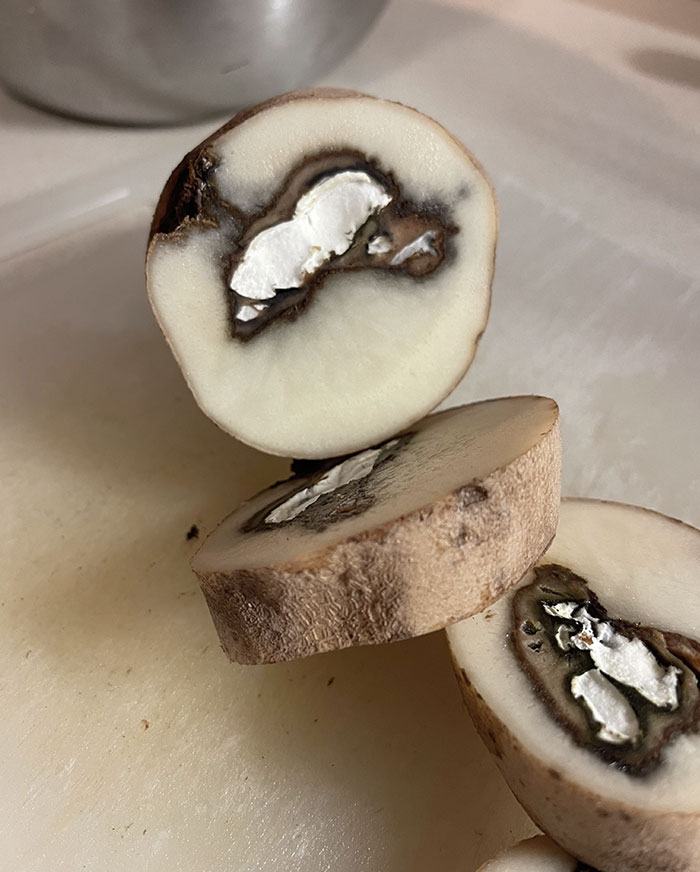 Hay una seta creciendo dentro de esta patata