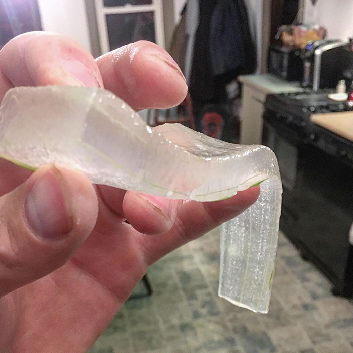 Hoja de aloe vera pelada