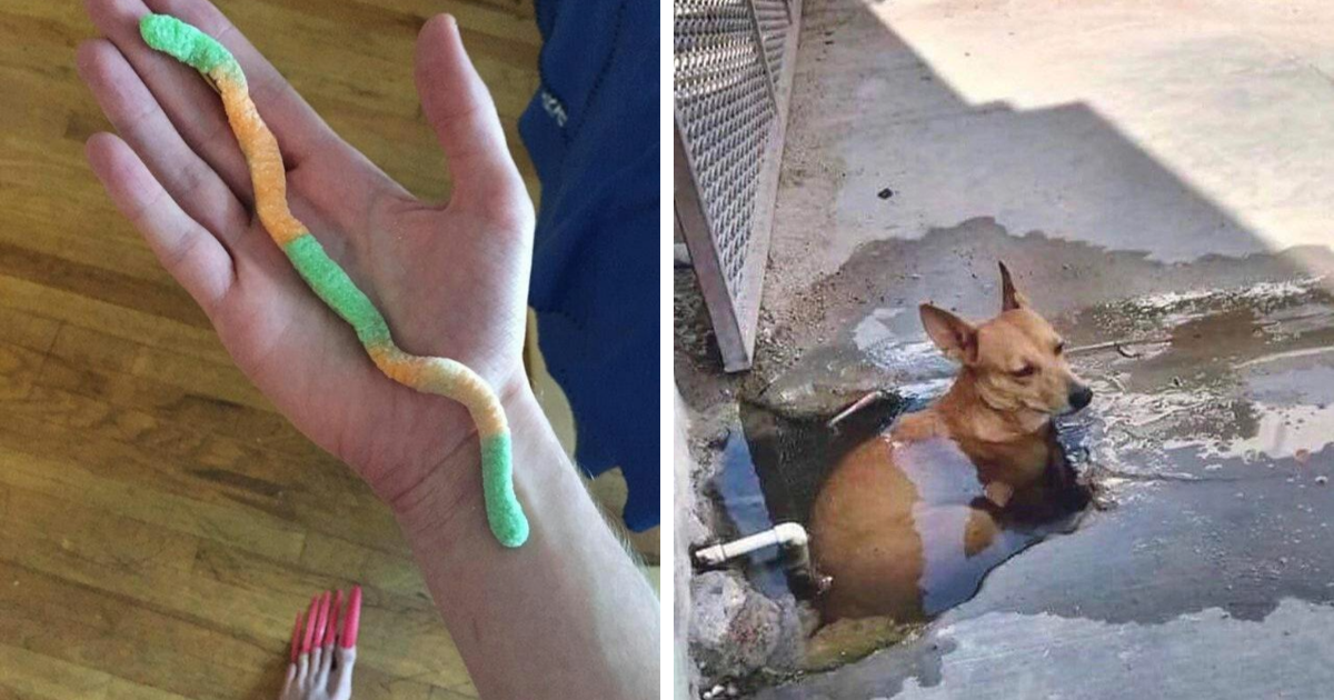 33 Imágenes inexplicables y enervantes no aptas para débiles
