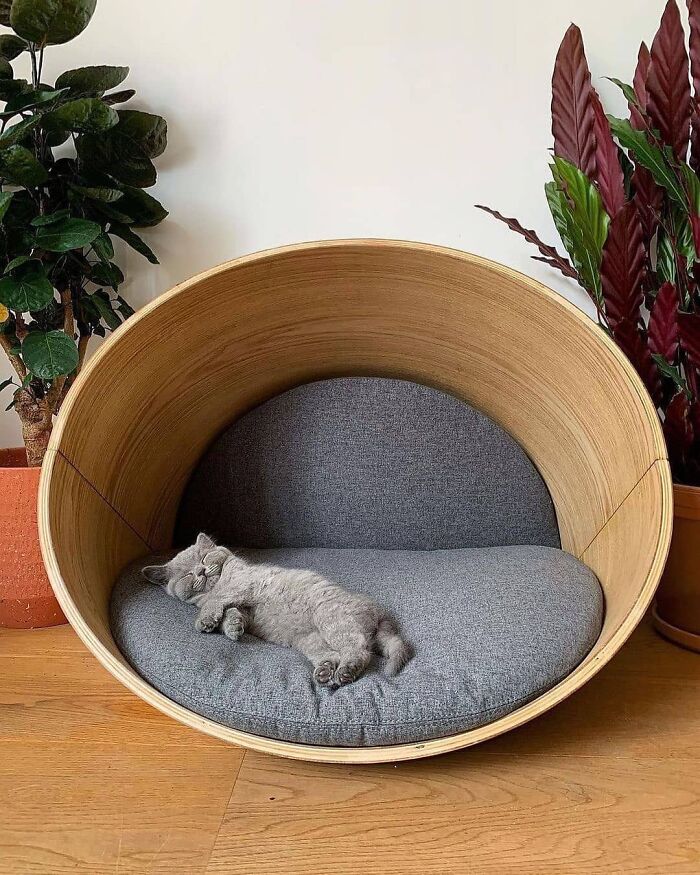 Cama ovalada para mascotas, de Kyali