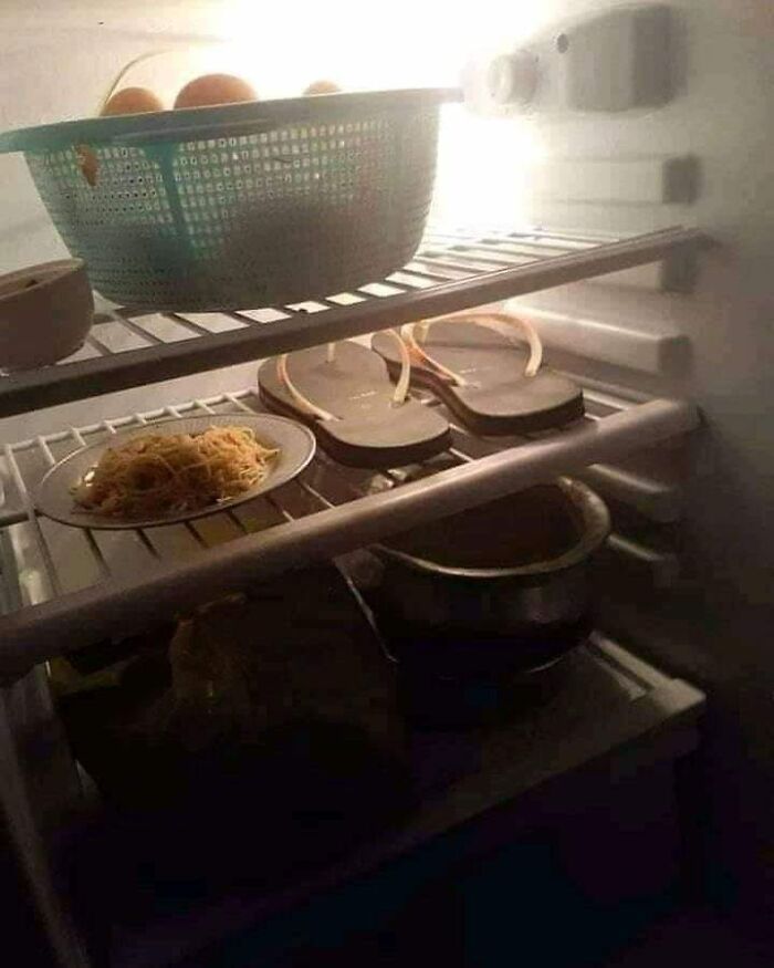 50 Pics That Are So Ridiculously Random, You Can’t Help But Laugh