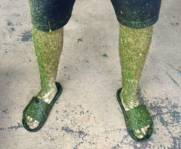 Mis piernas después de cortar el césped cuando aún estaba húmedo