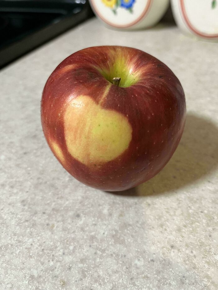 Mi manzana tiene una manzana en la cáscara