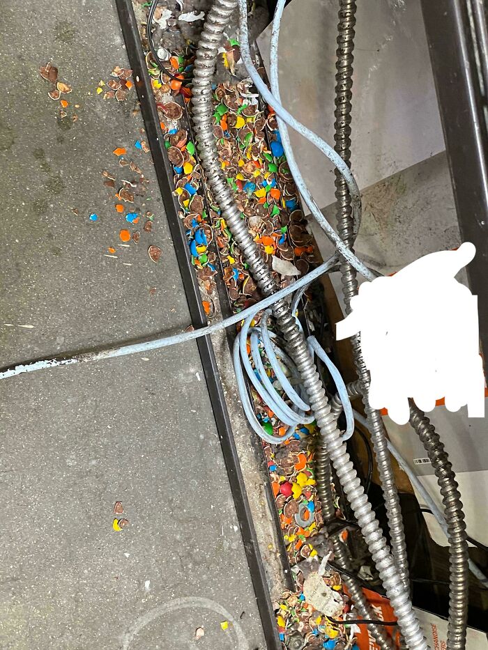 Las ratas robaron M&ms y se comieron solo los que tenían maní dentro